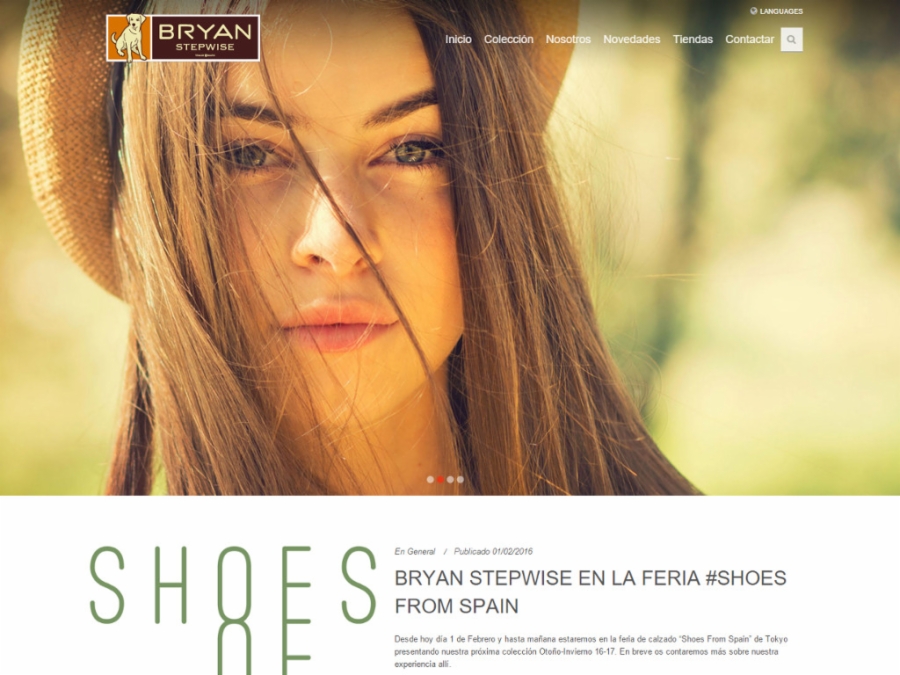 bryan step wise | diseño web